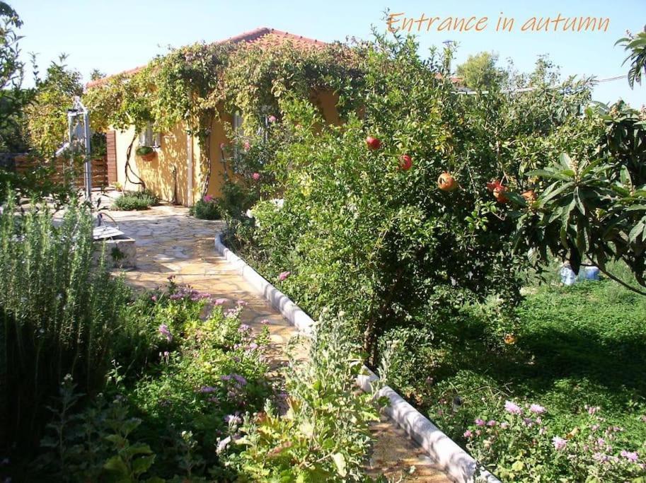 Adonino Residence-The House Of Pomegranates Λακήθρα Εξωτερικό φωτογραφία