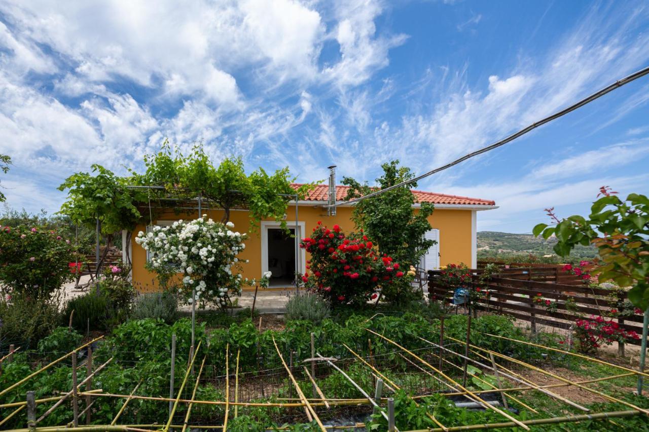Adonino Residence-The House Of Pomegranates Λακήθρα Εξωτερικό φωτογραφία